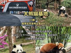 -奎星楼街