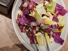 -蒙古大营(朝阳公园店)