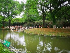 -上海野生动物园