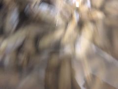 -宾朋海鲜美食特色餐厅·纯手工鲅鱼水饺(兴海路店)