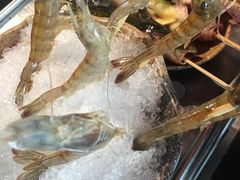 -王家渡火锅店(棕榈泉店)