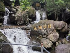 -上名堂·鱼头好吃(体育场路店)