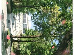 -深圳市人才园(深南大道店)