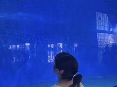 -泉城欧乐堡海洋极地世界