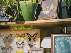 -自由生长植物工作室(深港花卉中心店)