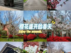 -上海瑞金洲际酒店