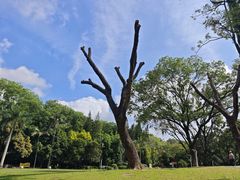 -人民公园(罗湖区)