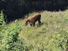-沈阳森林动物园