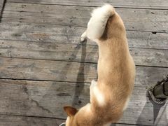 -海上驿站渔家菜馆