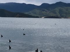 -丽江泸沽湖景区