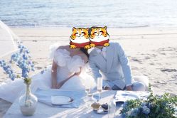 -金夫人婚纱摄影(华南店)