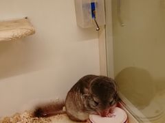 -龙猫仔乐园(惠福东路店)