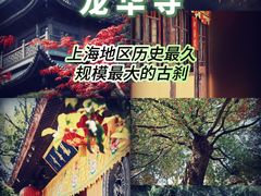 -龙华寺