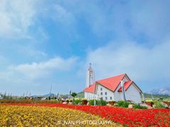-西海岸生态观光园
