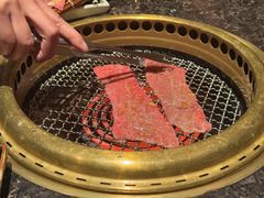 -老乾杯(深圳湾万象城店)