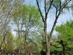 -丰台科技园生态主题公园
