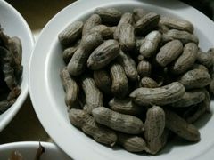 -九多肉多(王城路店)