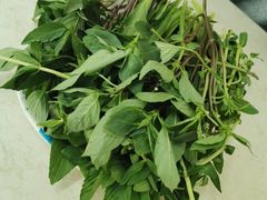 -Pho Hoa Pasteur
