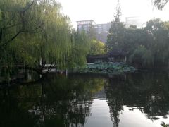 -墅园