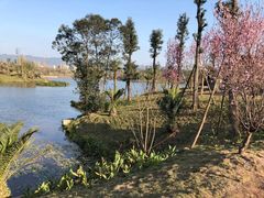 -枫香湖儿童公园