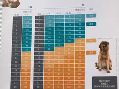 -美联众合动物医院(·中兽医·疑难杂症·严家桥分院)