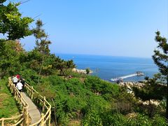 -养马岛旅游度假区