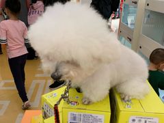-五缘湾悦都汇购物中心