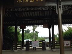 iphone_upload_pic-梁鸿国家湿地公园
