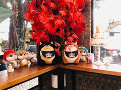 -柴犬高等学院·狗咖·柴犬售卖·宠物训练