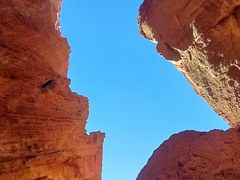 -天山神秘大峡谷