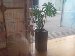 -灯塔咖啡馆BOOK·Coffee Shop