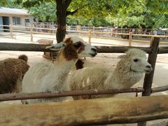 -西安秦岭野生动物园