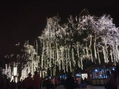 -大雁塔北广场音乐喷泉