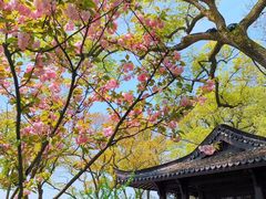 -杭州西湖柳莺里酒店·闻莺厅