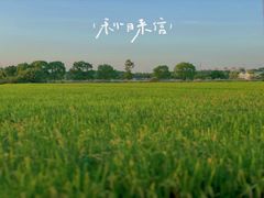 -嘉北郊野公园