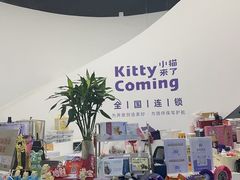 -小猫来了·猫舍(红山六九七九店)