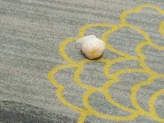 晶莹虾饺皇-北海渔村酒楼·粤菜海鲜点心(新华店)