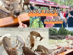 -常州淹城野生动物世界