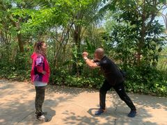 -西双版纳勐泐文化旅游区