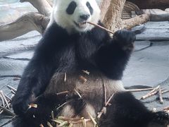 -泉州海丝野生动物世界