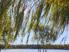 -大兴滨河森林公园