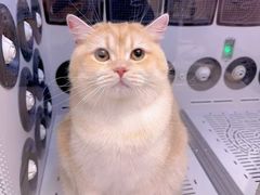 -FAELING PETS美天灵宠物(富力广场店)
