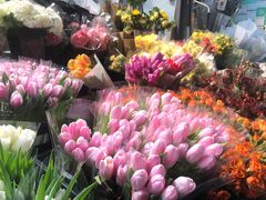 -循礼门鲜花花市(武汉循礼门店)