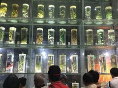 -广东中医药博物馆