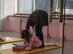 -舞研舞蹈培训(魏公村校区)