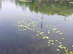 -重庆彩云湖湿地公园