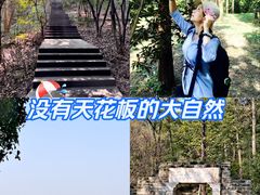 -潜山国家森林公园