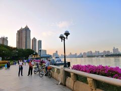 -珠江夜游广州塔·中大码头