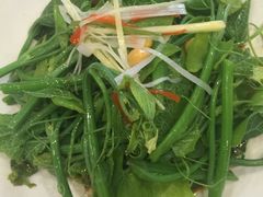 -巴依老爷新疆美食(望京小街店)