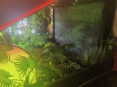 -鼎原力量东北吊炉烧烤(临河街店)